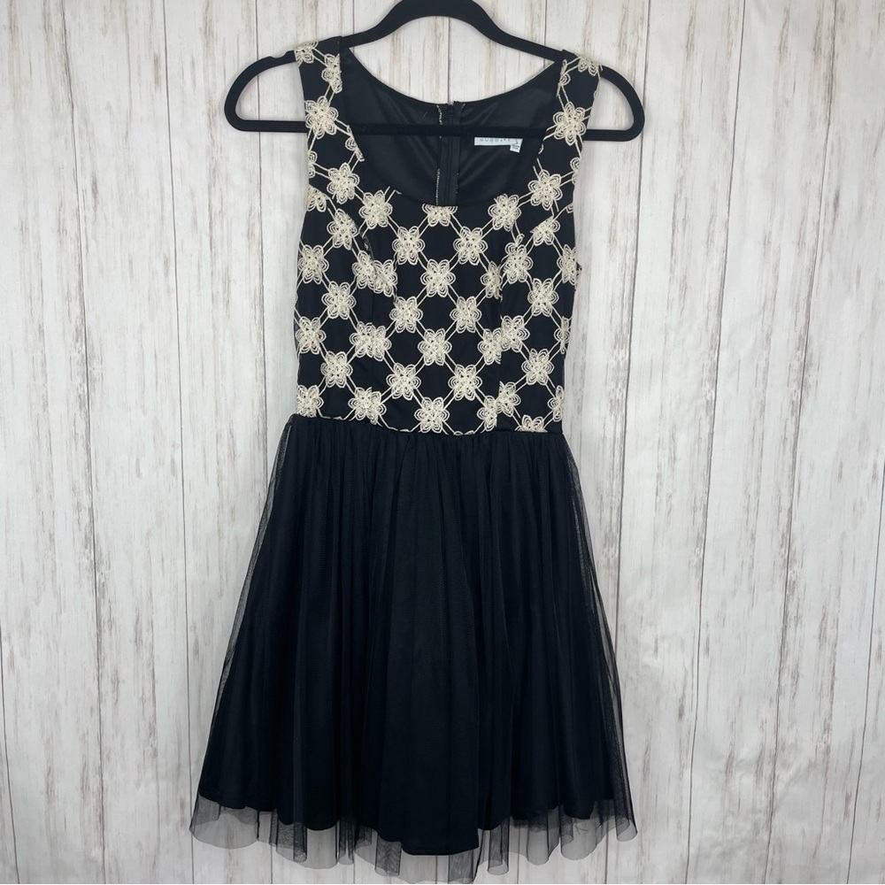 Francesca’s black and white tulle dress